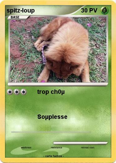 Pokemon spitz-loup