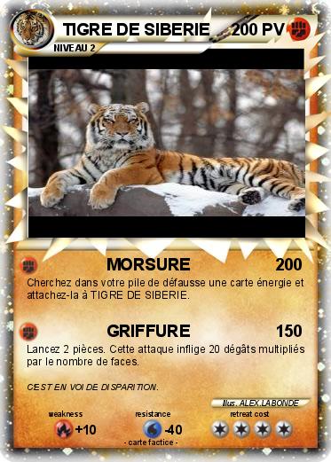 Pokemon TIGRE DE SIBERIE