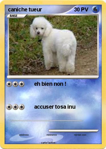 Pokemon caniche tueur