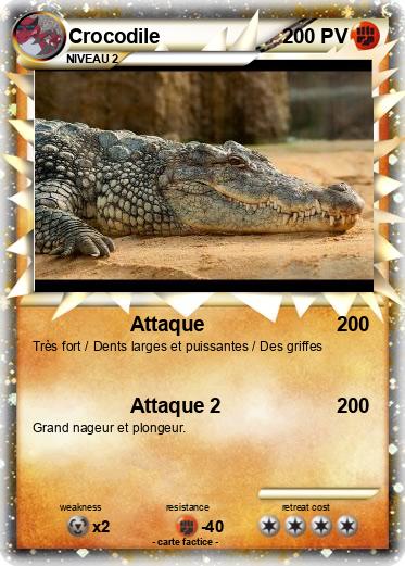 Pokemon Crocodile