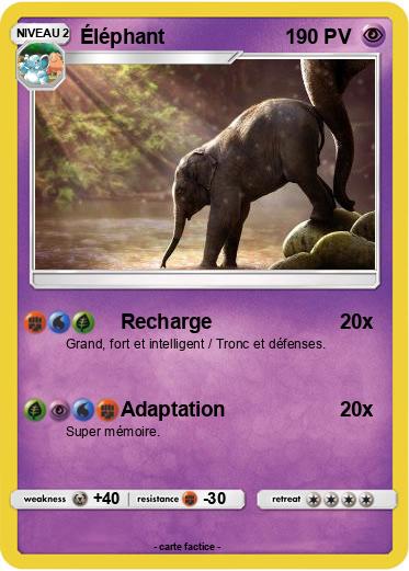 Pokemon Éléphant