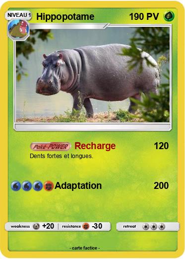 Pokemon Hippopotame