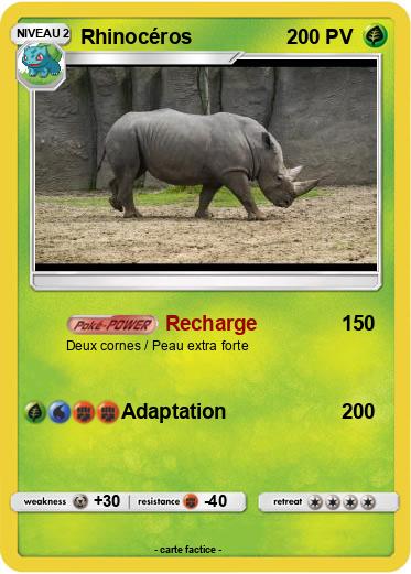Pokemon Rhinocéros