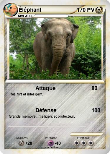 Pokemon Éléphant