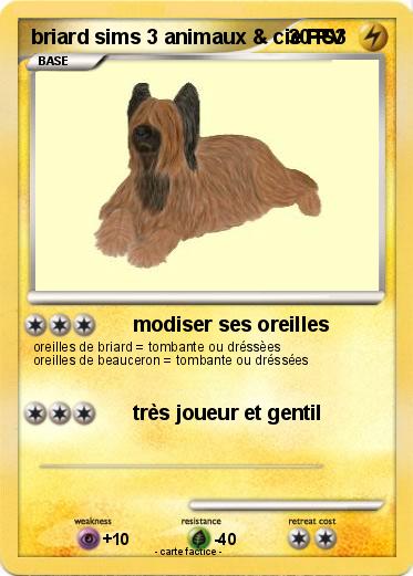 Pokemon briard sims 3 animaux & cie PS3