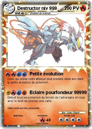 Pokemon Destructor niv 999