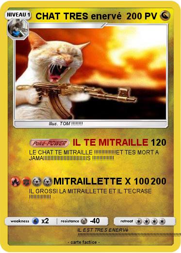 Pokemon CHAT TRES enervé