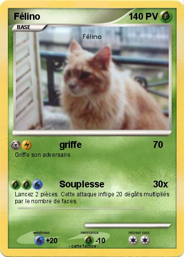 Pokemon Félino