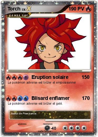 Pokemon Torch