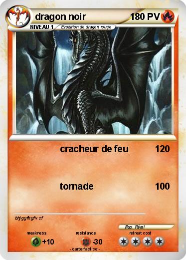 Pokemon dragon noir