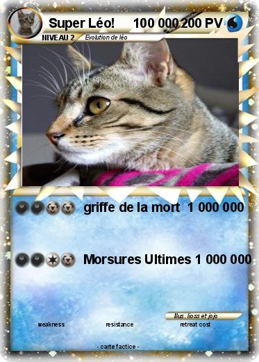 Pokemon Super Léo!     100 000