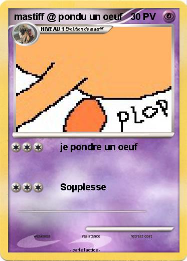 Pokemon mastiff @ pondu un oeuf