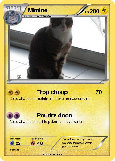 Pokemon Mimine