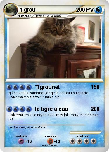 Pokemon tigrou