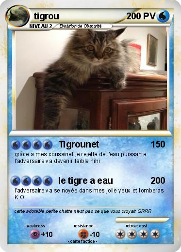 Pokemon tigrou