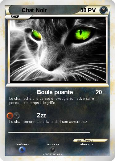 Pokemon Chat Noir