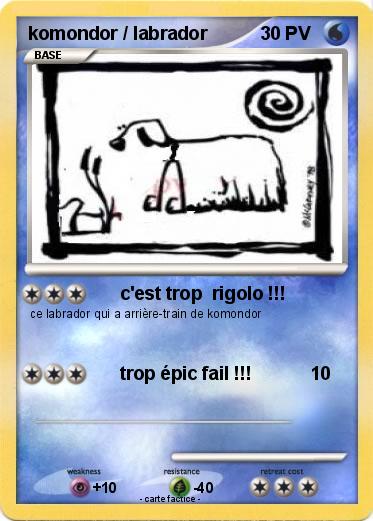 Pokemon komondor / labrador