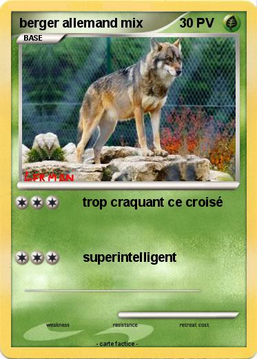 Pokemon berger allemand mix