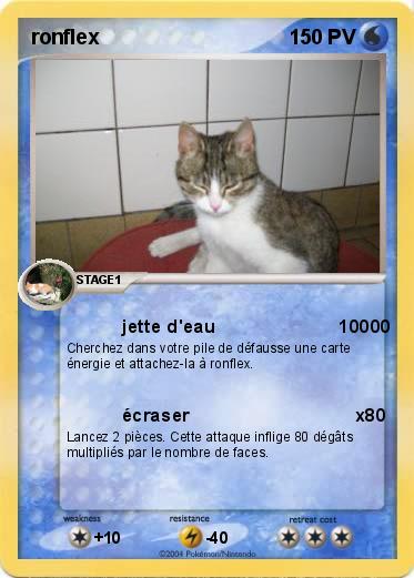 Pokemon ronflex