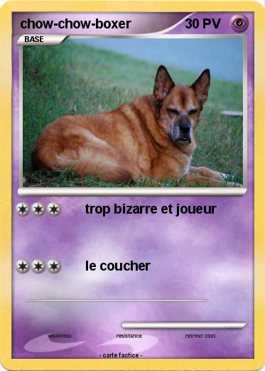 Pokemon chow-chow-boxer