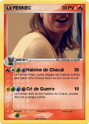 Pokemon Le FENNEC