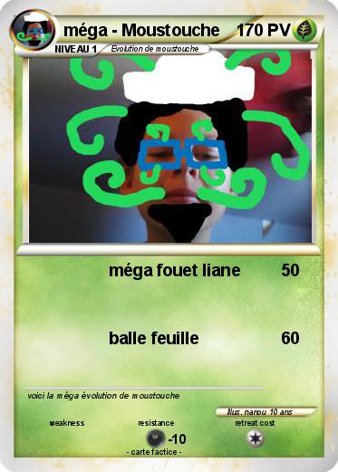 Pokemon méga - Moustouche