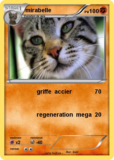 Pokemon mirabelle