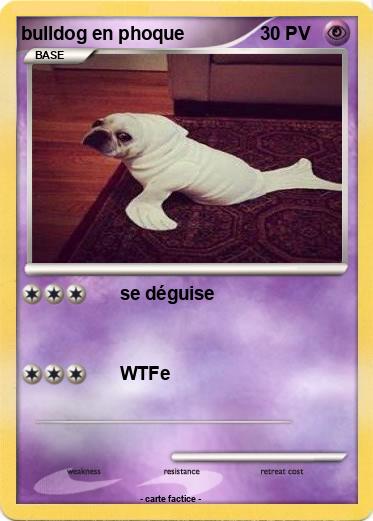 Pokemon bulldog en phoque