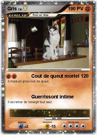 Pokemon Gris