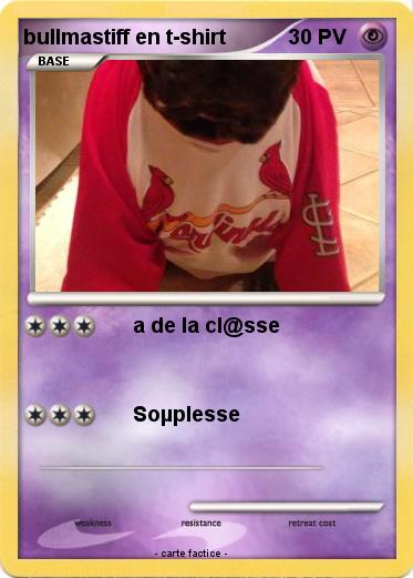 Pokemon bullmastiff en t-shirt