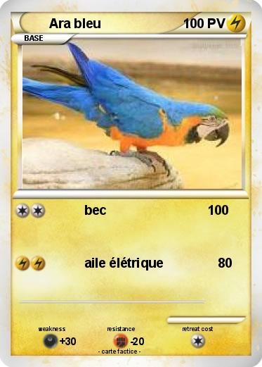 Pokemon Ara bleu