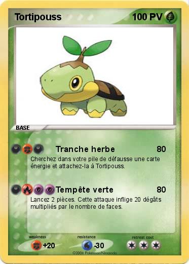 Pokemon Tortipouss