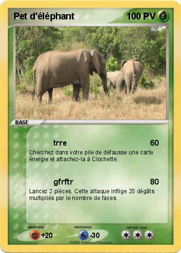 Pokemon Pet d'éléphant