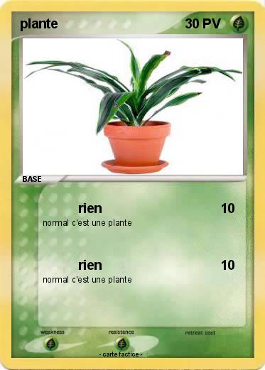 Pokemon plante
