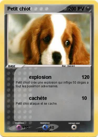 Pokemon Petit chiot