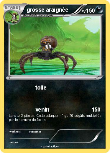 Pokemon grosse araignée