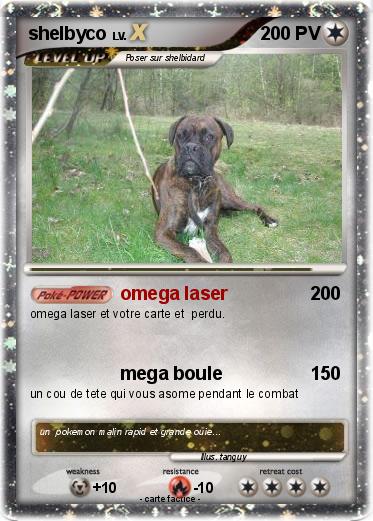Pokemon shelbyco