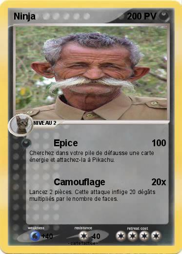 Pokemon Ninja