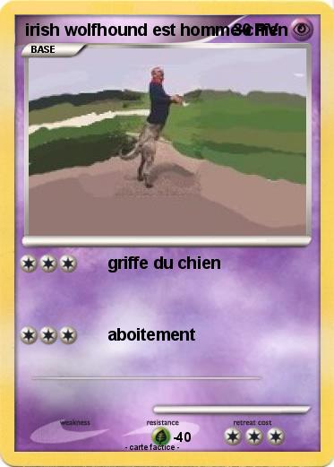 Pokemon irish wolfhound est homme-chien