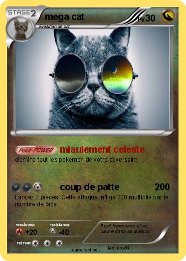 Pokemon mega cat