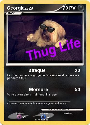 Pokemon Georgia