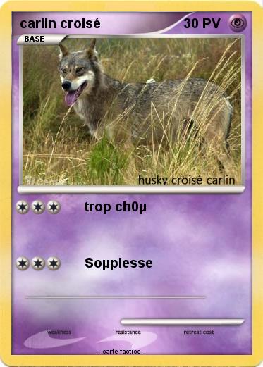 Pokemon carlin croisé