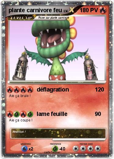 Pokemon plante carnivore feu