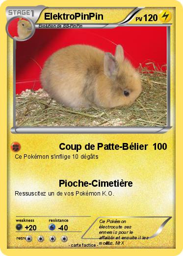 Pokemon ElektroPinPin