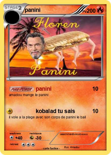 Pokemon panini