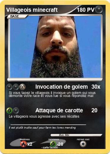 Pokemon Villageois minecraft