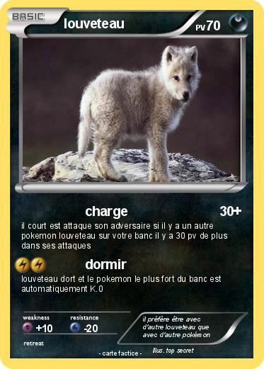 Pokemon louveteau