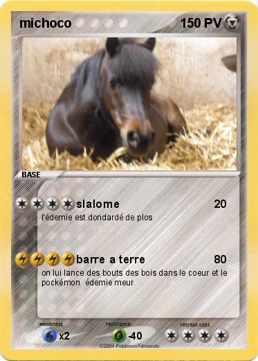 Pokemon michoco