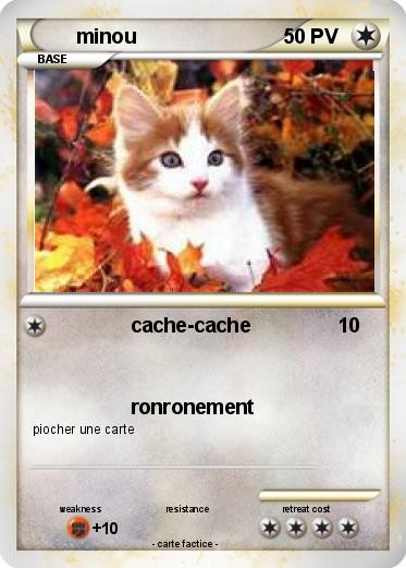 Pokemon minou