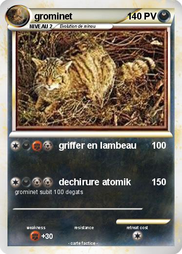 Pokemon grominet
